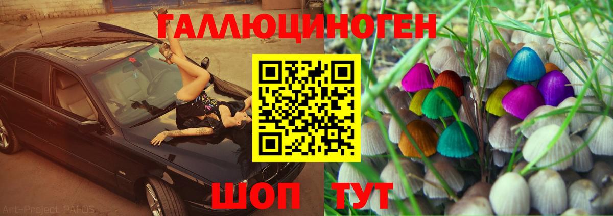 Псилоцибиновые грибы Magic Shrooms  Псилоцибиновые грибы мицелий  Нальчик  Вход с VPN 