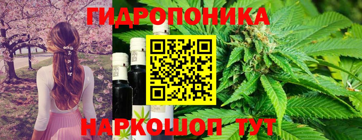 Бошки марихуана гибрид Нальчик